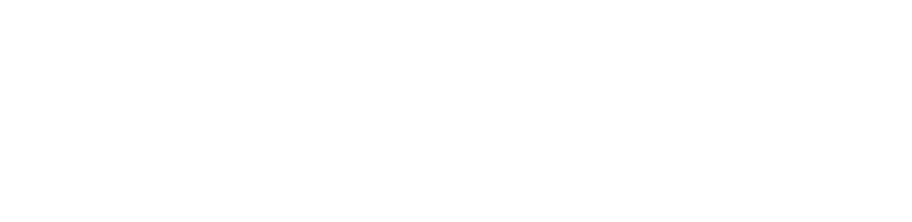 VOIDSERVER